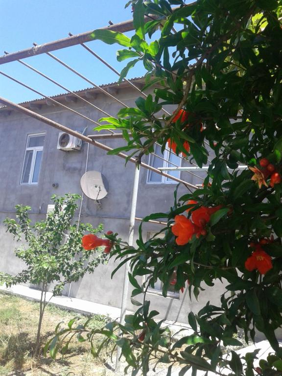 Image of Guest House near Baku airport