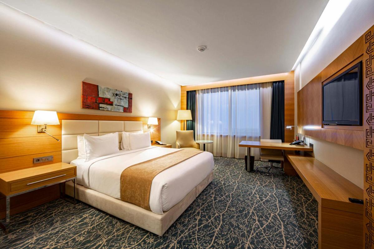 Image 5 of Holiday Inn Baku by IHG