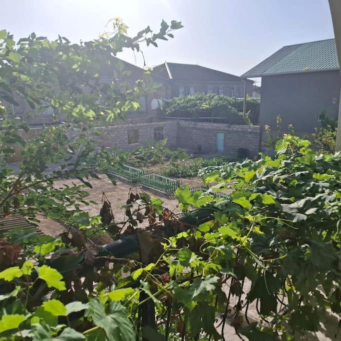 Image 4 of House Near Baku Airport and BOS