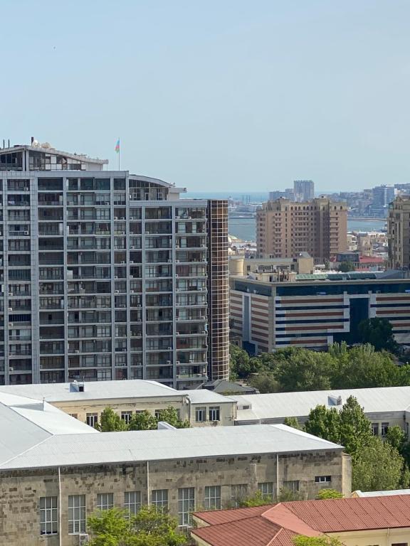 Image of The Best Apartment