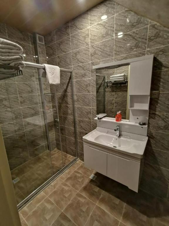 Image 3 of soprano guest house